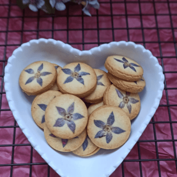 Curso Biscoitos Finos 31/01/26 09h às 12h30